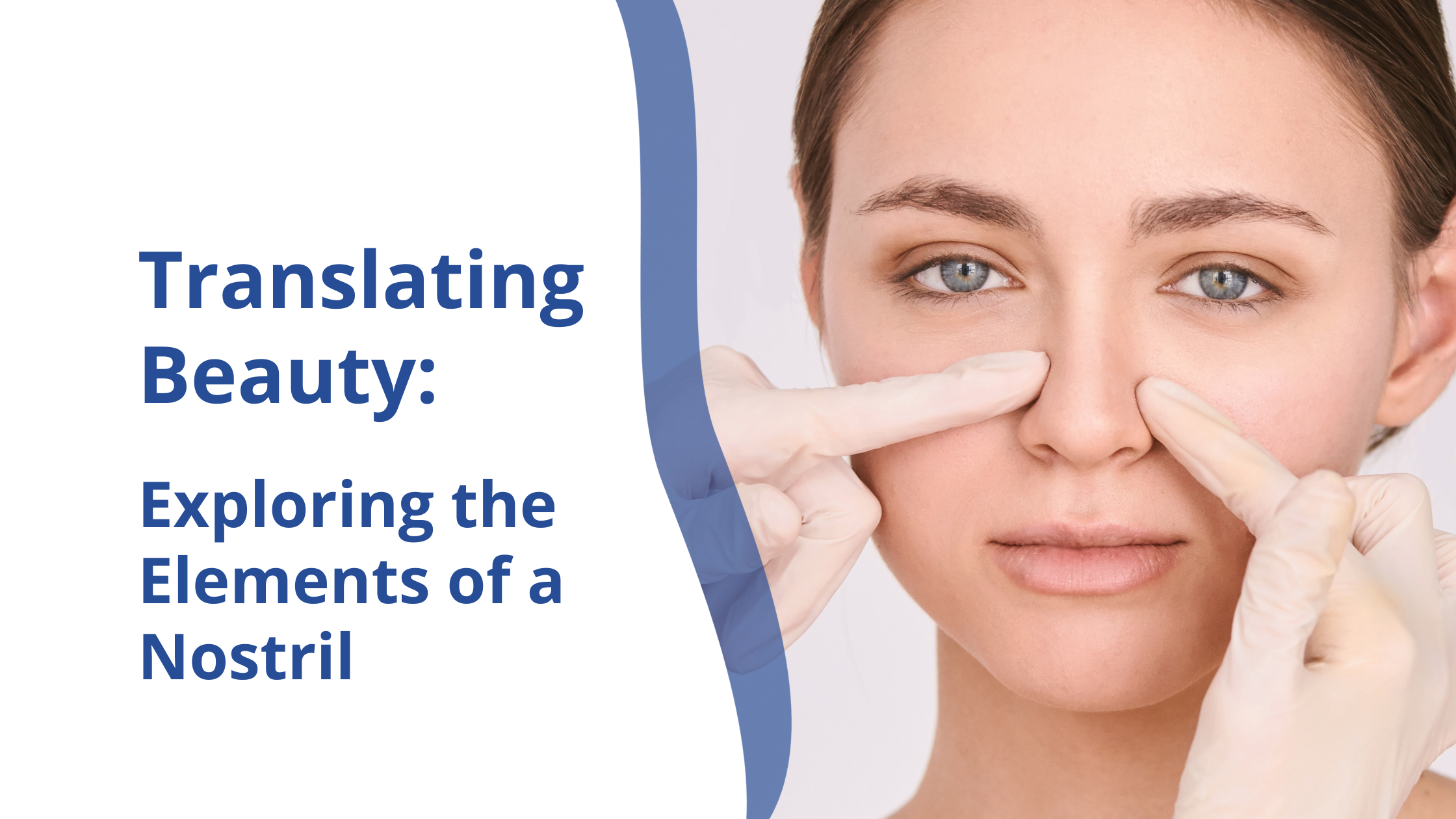 Elements of a Nostril | Rhinoplasty Surgeon India